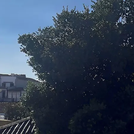Onefam Clerigos Albergue